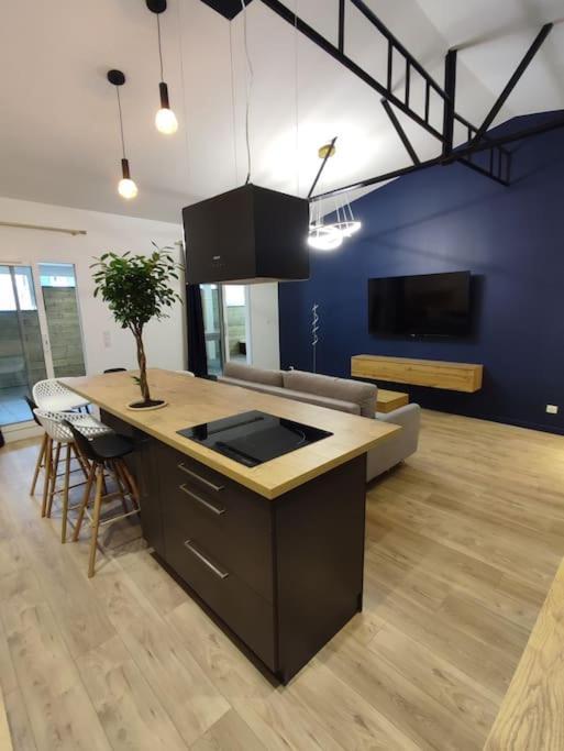 Appartement Le Secret 140M2, Proche Sanctuaires, Climatise Lourdes Exterior photo